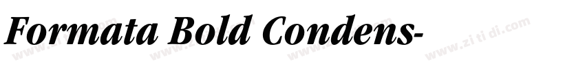 Formata Bold Condens字体转换
